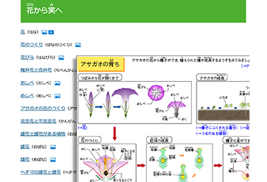 「教科べんり事典」